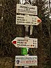 DSC06025.jpg